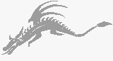 Grey Dragon Logo