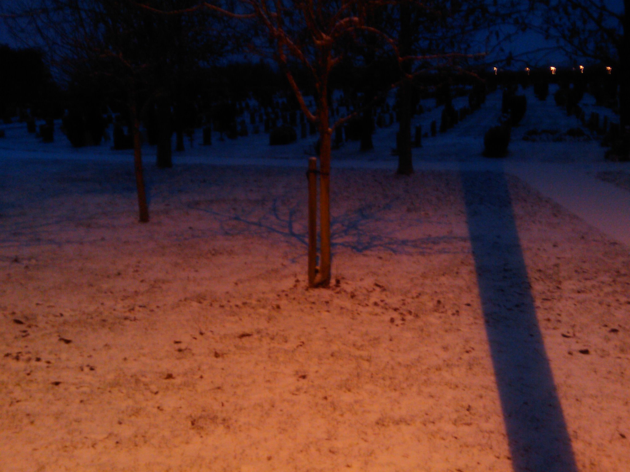 Snow near my office in Meppershall