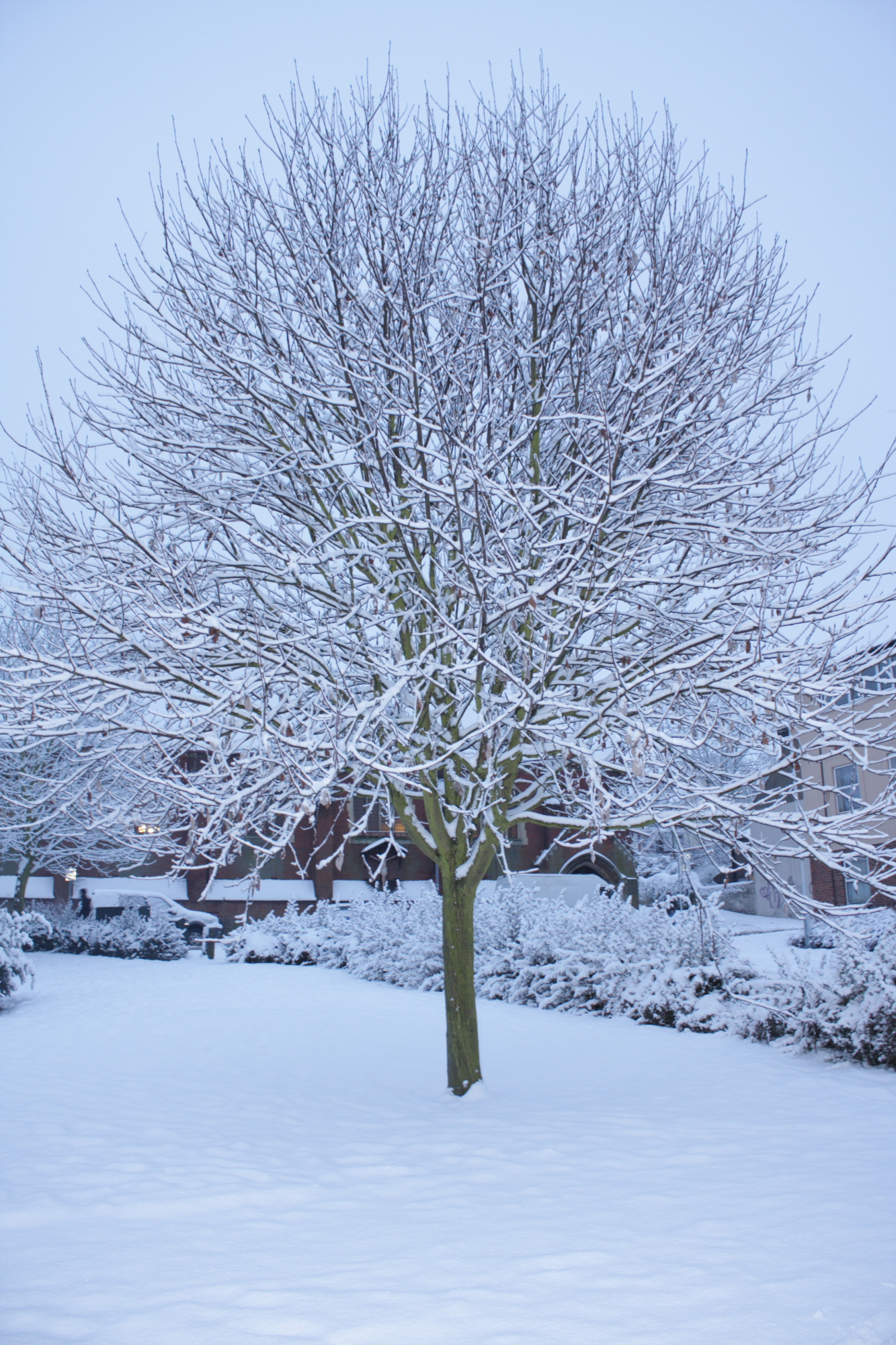 More snow in Luton