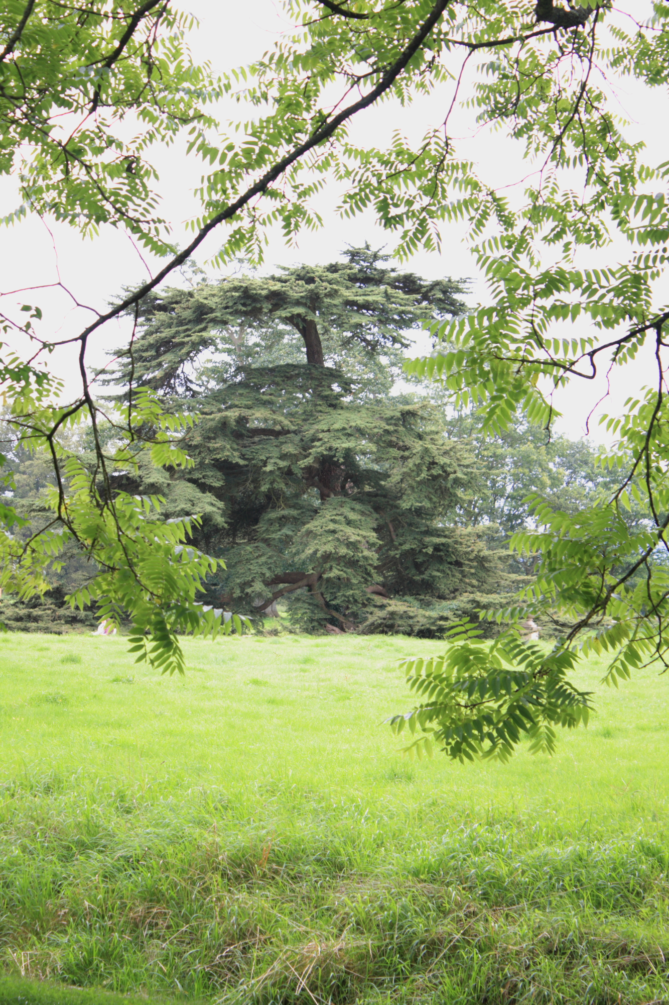 Lacock Abbey