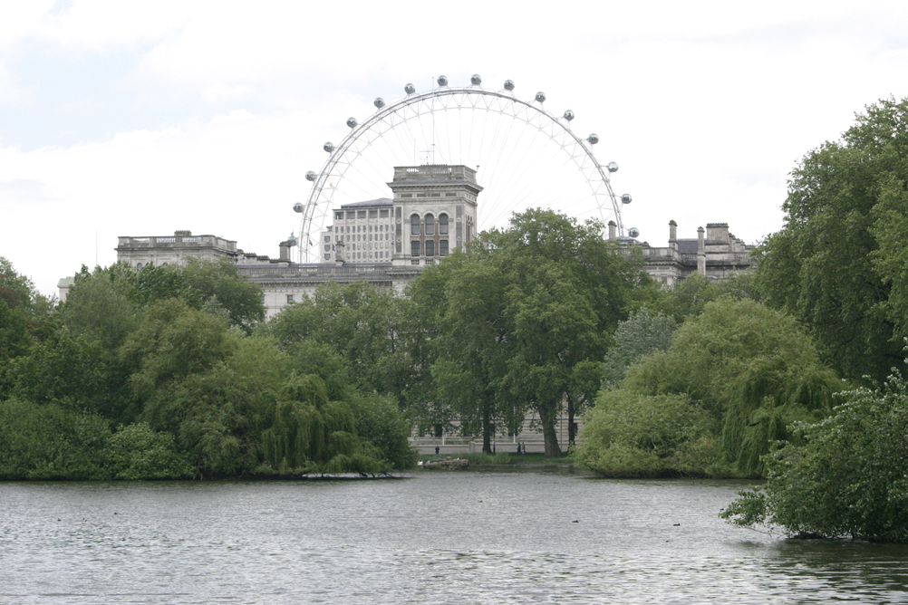 London Eye from St James Park