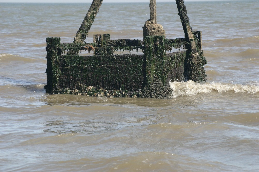 Seaweed encrusted marker on the beach at Clacton-on-Sea